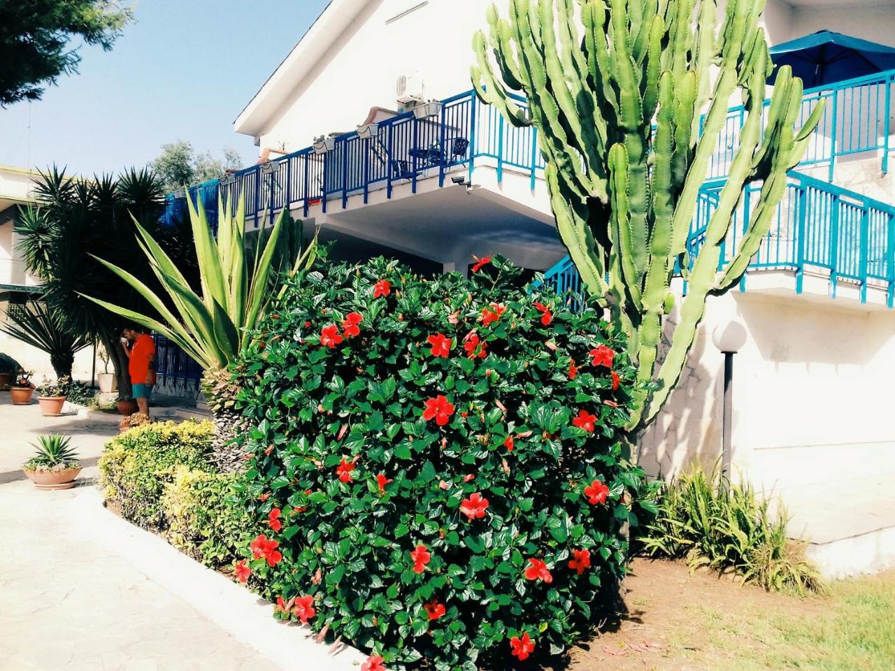 B&B Nido Colorato Fontane Bianche Exteriér fotografie